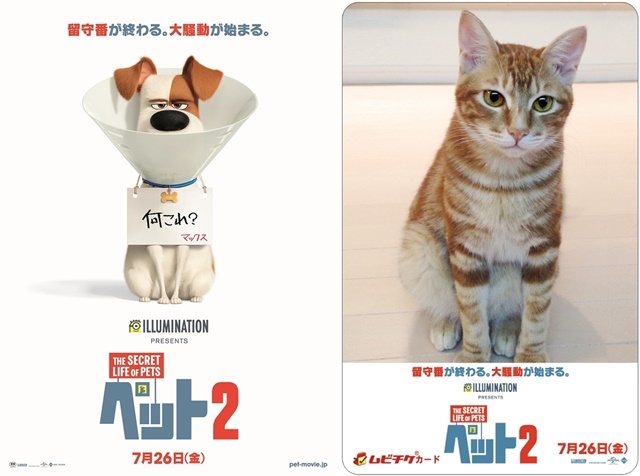 映画『ペット２』ティザービジュアルが公開！ペット愛に溢れたオリジナルムビチケカードも発売決定！