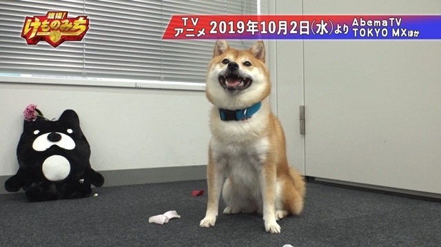 TVアニメ『旗揚!けものみち』DDTプロレスリングとコラボしたPV第1弾が公開! HARASHIMA選手がケモナーマスク役、MAO選手がMAO役を演じる!-4