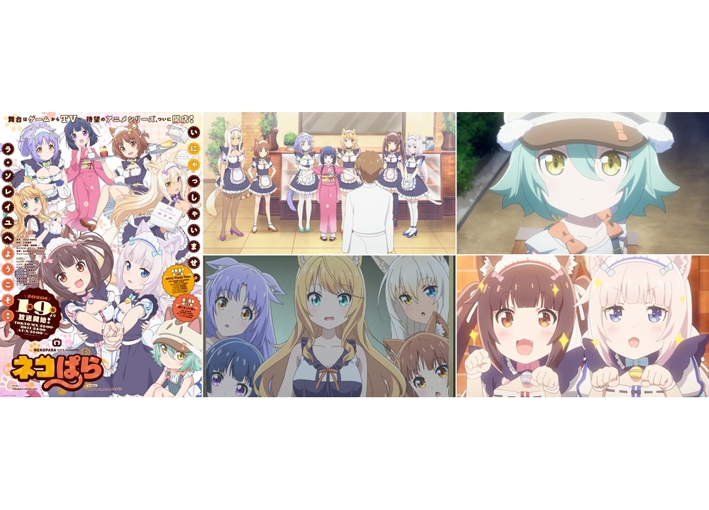 『ネコぱら』TVアニメは2020年1月9日放送決定！