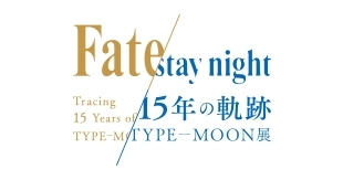 Fate/stay night-8