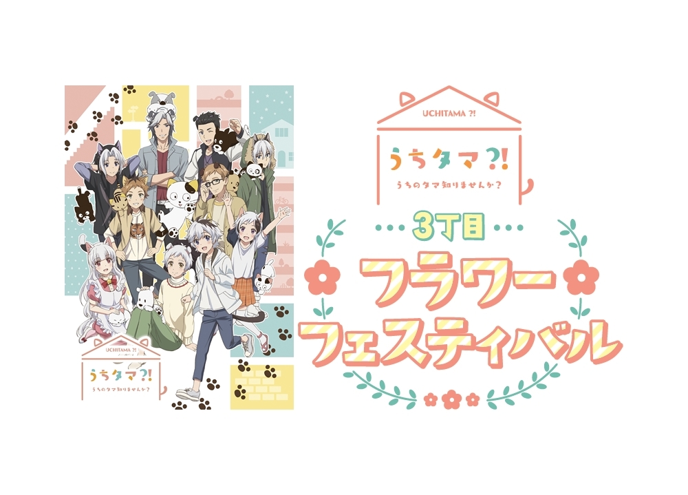『うちタマ?!』BD＆DVD第1巻が3月18日発売決定！