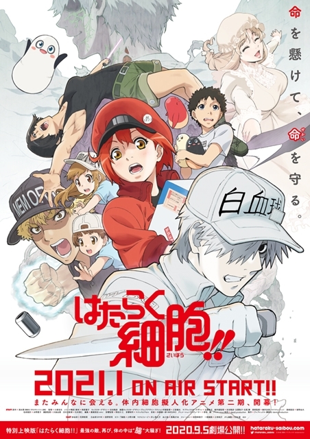 TVアニメ第2期『はたらく細胞!!』2021年1月放送決定！　特別上映版が、9月5日より劇場上映スタート-1