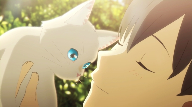 Netflixで配信されるアニメ映画『泣きたい私は猫をかぶる』より、志田未来さん、花江夏樹さんら声優陣が演じるキャラクターたちの場面カットが公開！の画像-12