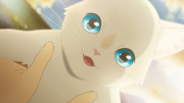 アニメ映画 泣き猫 キャラクターたちの場面カットが公開 アニメイトタイムズ