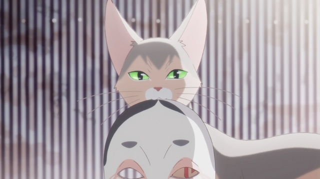 長編アニメ 泣きたい私は猫をかぶる 特別映像公開 アニメイトタイムズ