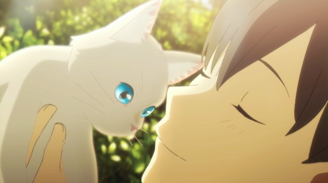 長編アニメ 泣きたい私は猫をかぶる 特別映像公開 アニメイトタイムズ