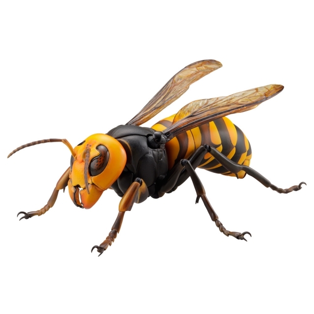 【海洋堂クオリティ】可動生物フィギュアシリーズ第3弾「オオスズメバチ」が堂々のフィギュア化！ Twitterで話題のスズメバチ類最大級のハチが立体化！-2