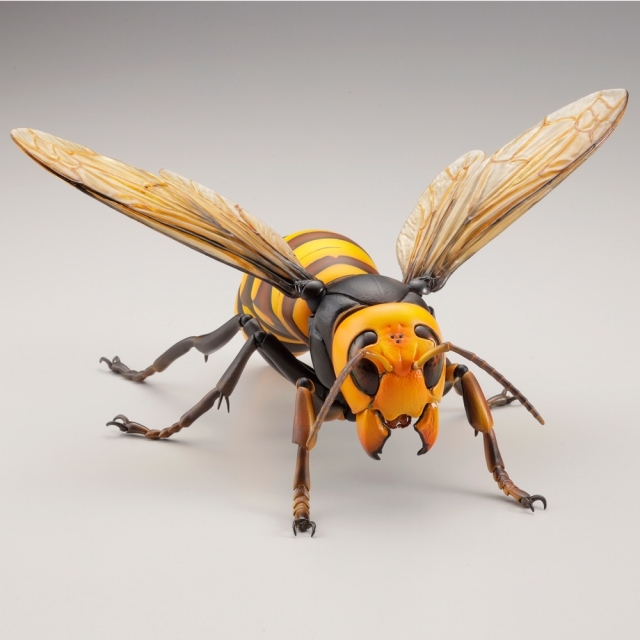 【海洋堂クオリティ】可動生物フィギュアシリーズ第3弾「オオスズメバチ」が堂々のフィギュア化！ Twitterで話題のスズメバチ類最大級のハチが立体化！-8