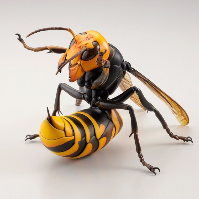 【海洋堂クオリティ】可動生物フィギュアシリーズ第3弾「オオスズメバチ」が堂々のフィギュア化！ Twitterで話題のスズメバチ類最大級のハチが立体化！-9