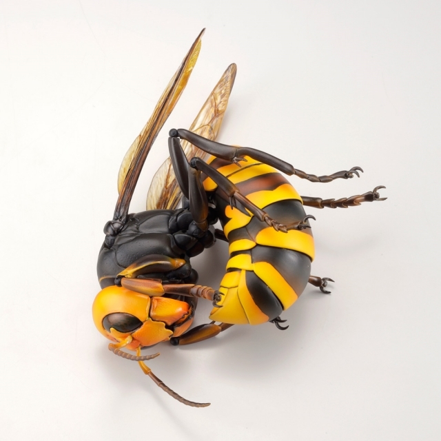 【海洋堂クオリティ】可動生物フィギュアシリーズ第3弾「オオスズメバチ」が堂々のフィギュア化！ Twitterで話題のスズメバチ類最大級のハチが立体化！-10