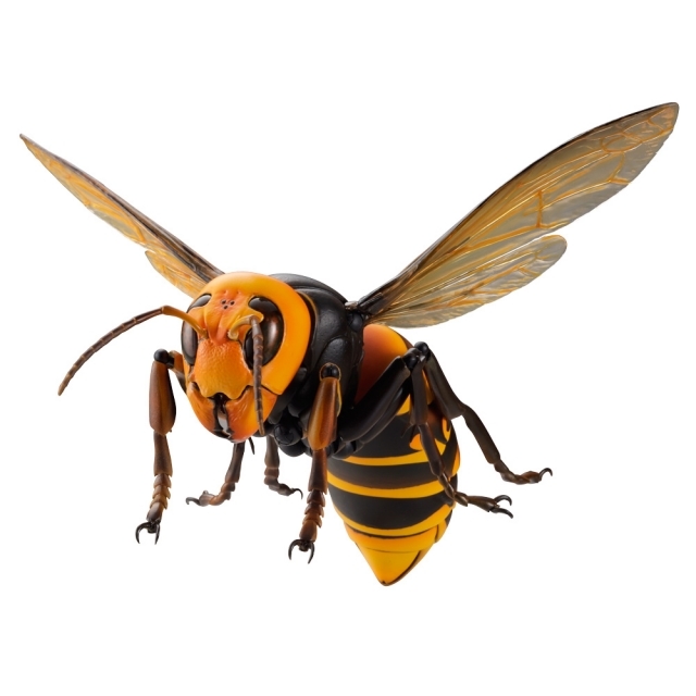 【海洋堂クオリティ】可動生物フィギュアシリーズ第3弾「オオスズメバチ」が堂々のフィギュア化！ Twitterで話題のスズメバチ類最大級のハチが立体化！-11