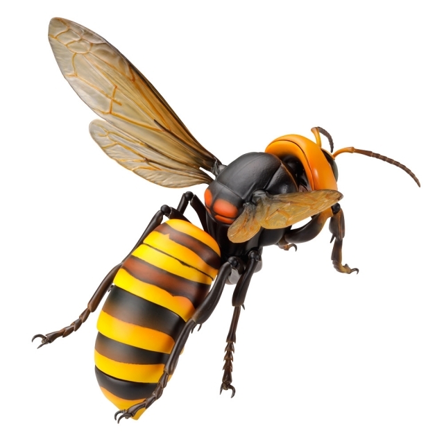 【海洋堂クオリティ】可動生物フィギュアシリーズ第3弾「オオスズメバチ」が堂々のフィギュア化！ Twitterで話題のスズメバチ類最大級のハチが立体化！-12