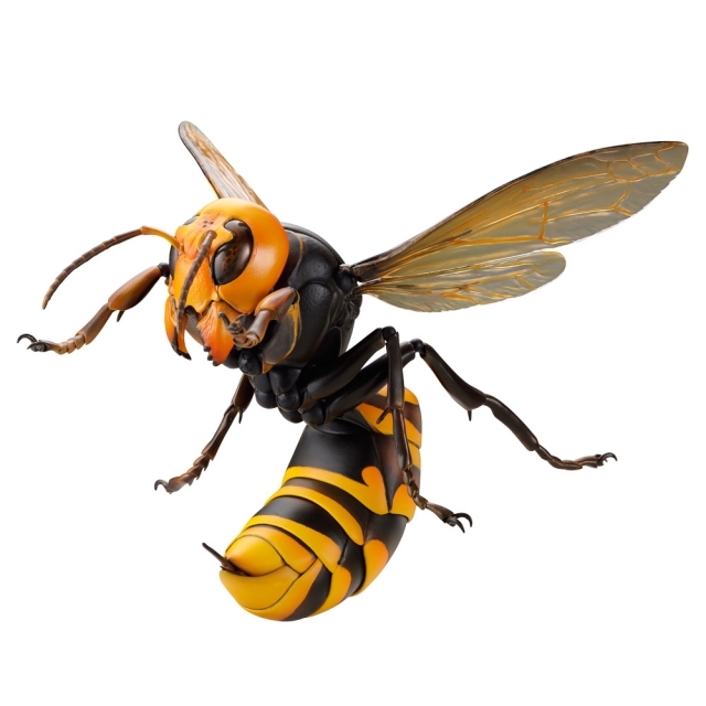 【海洋堂クオリティ】可動生物フィギュアシリーズ第3弾「オオスズメバチ」が堂々のフィギュア化！ Twitterで話題のスズメバチ類最大級のハチが立体化！-14