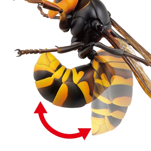 【海洋堂クオリティ】可動生物フィギュアシリーズ第3弾「オオスズメバチ」が堂々のフィギュア化！ Twitterで話題のスズメバチ類最大級のハチが立体化！-15
