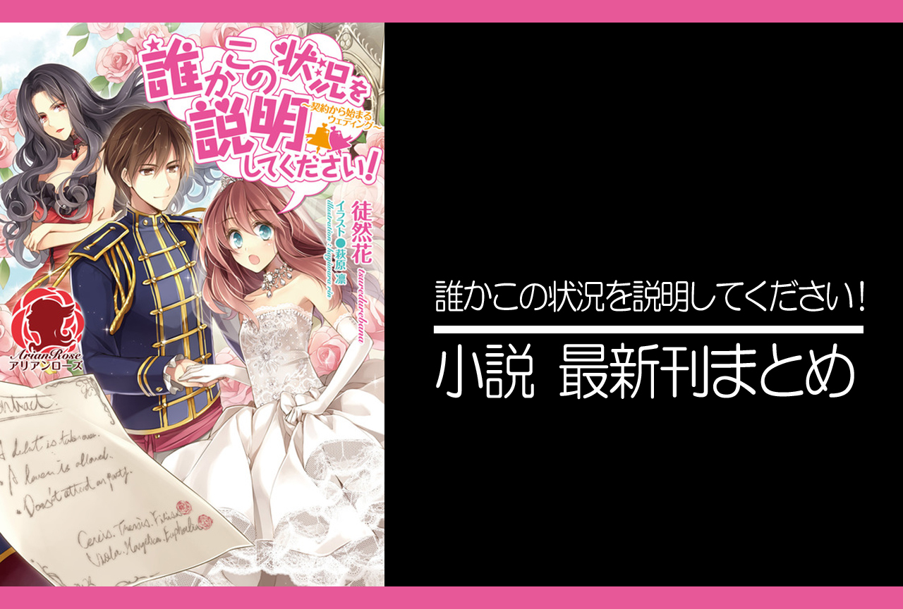 誰かこの状況を説明してください 小説最新刊 次は10巻 あらすじ 発売日まとめ アニメイトタイムズ