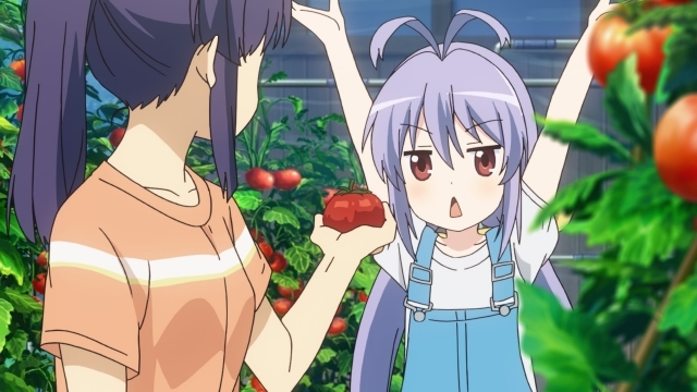 冬アニメ『のんのんびより のんすとっぷ』第四話「トマトを届けるサンタになった」の先行カット到着！　夏休み、ひかげが東京から帰ってきて……？の画像-1