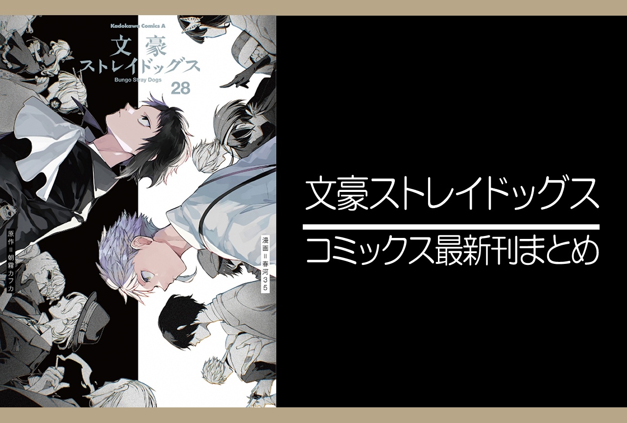 文豪ストレイドッグス|漫画最新刊28巻(次は29巻)発売日・あらすじ・表紙まとめ