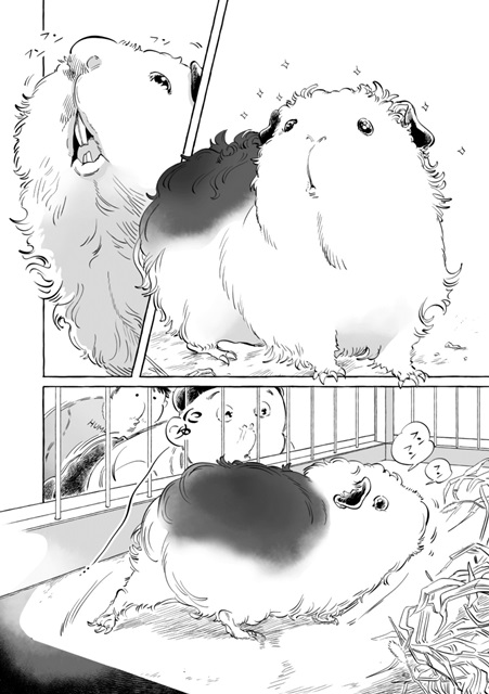 オムニバス漫画 Guinea Pigroom Tour 連載スタート アニメイトタイムズ