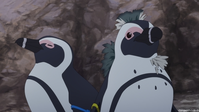 夏アニメ『白い砂のアクアトープ』第1話「熱帯魚、逃げた」のあらすじ＆先行場面カットが公開！　