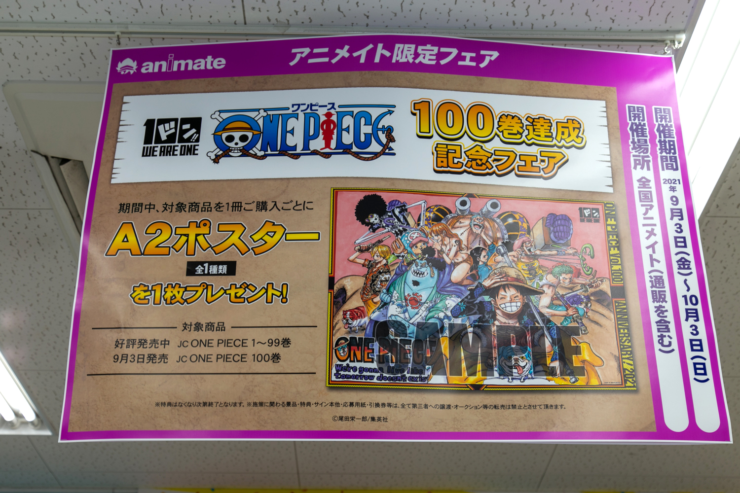 ワンピース1~100巻+おまけ関連本8巻コミックス全巻 - 全巻セット