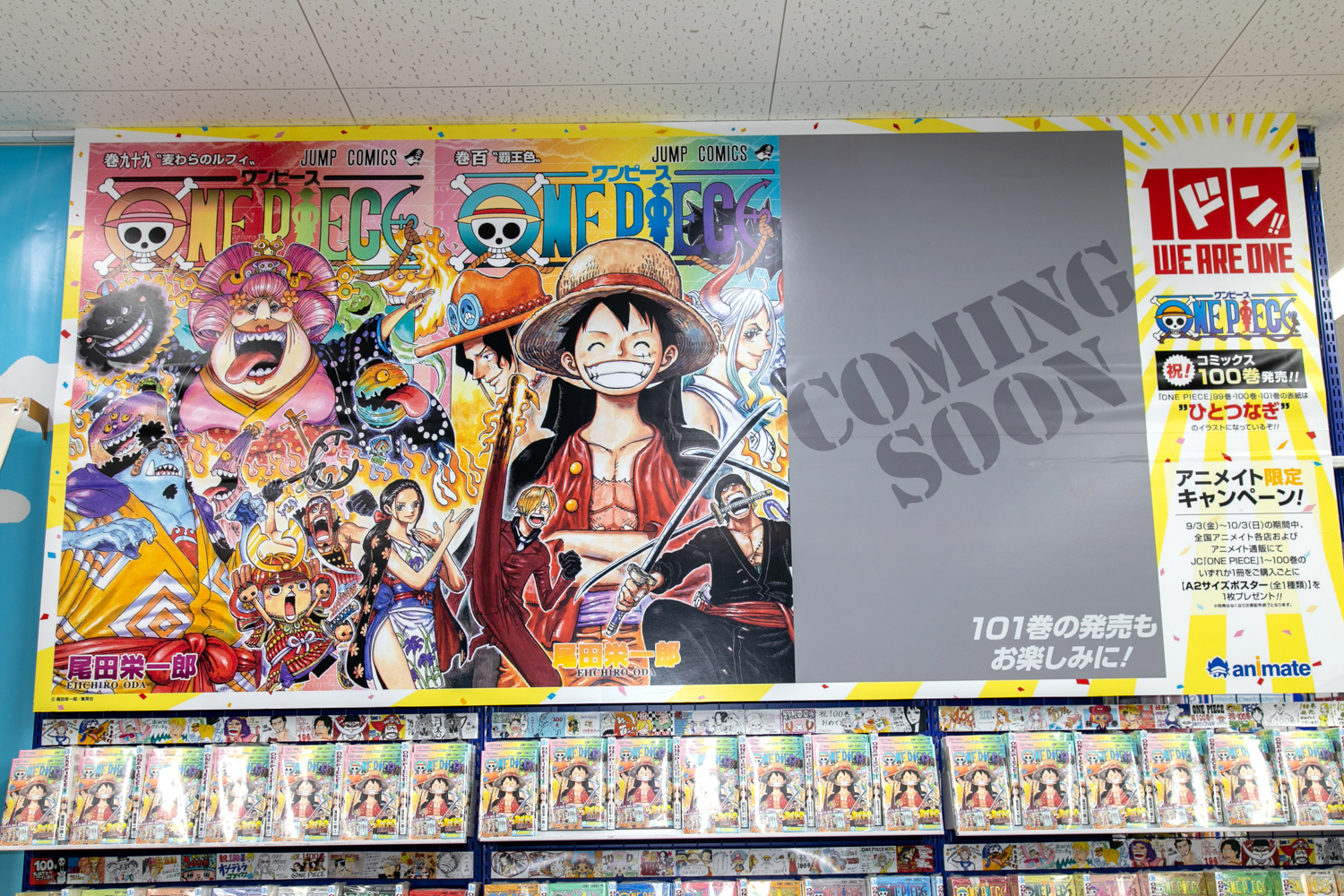 One Piece 100巻記念フェアをアニメイトで開催 池袋本店では特別仕様の展示も アニメイトタイムズ