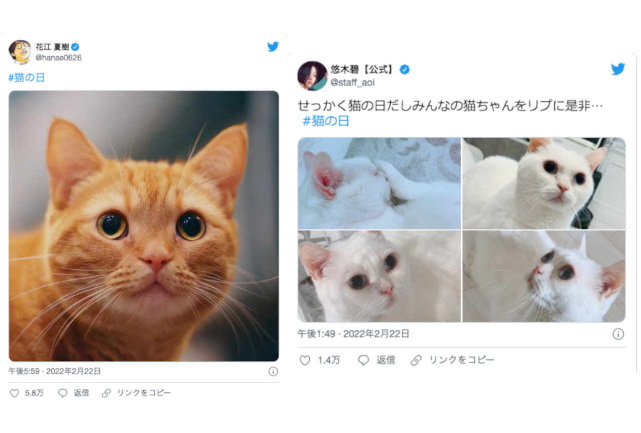 花江夏樹ら人気声優たちによる“猫の日”の愛猫ツイートをまとめ！【注目ワード】