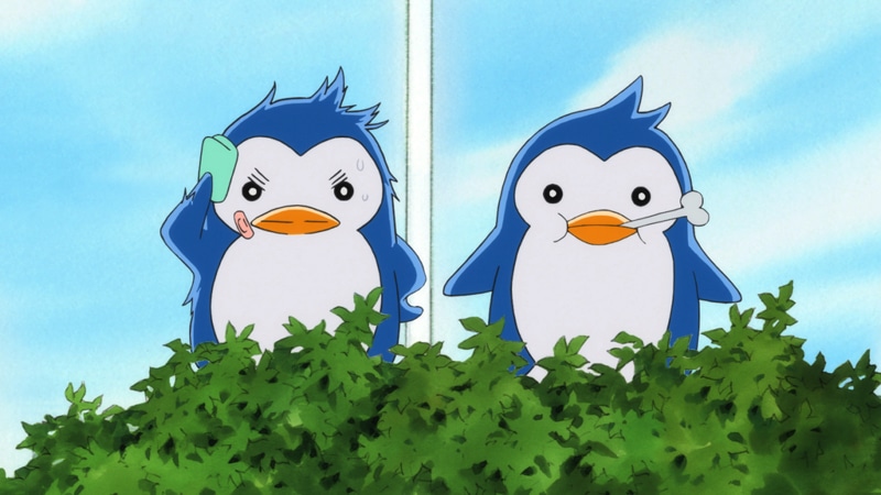 RE:cycle of the PENGUINDRUM-13