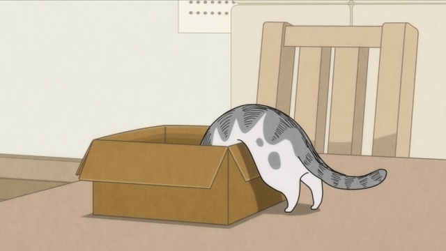TVアニメ『夜は猫といっしょ』第18夜（第18話）「どいてくれないネコ」あらすじ・先行場面カット公開！