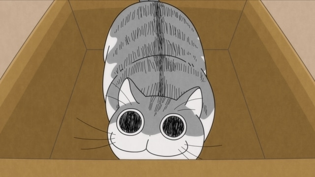 TVアニメ『夜は猫といっしょ』第18夜（第18話）「どいてくれないネコ」あらすじ・先行場面カット公開！の画像-3