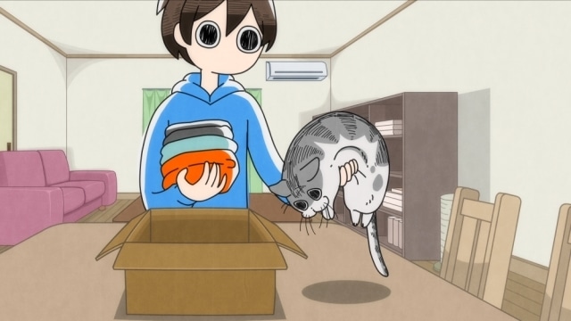 TVアニメ『夜は猫といっしょ』第18夜（第18話）「どいてくれないネコ」あらすじ・先行場面カット公開！の画像-4