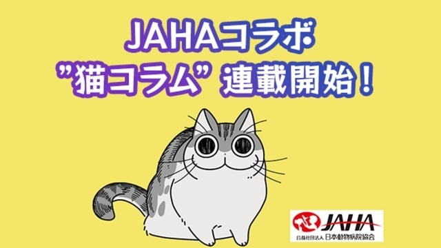 TVアニメ『夜は猫といっしょ』第18夜（第18話）「どいてくれないネコ」あらすじ・先行場面カット公開！の画像-5