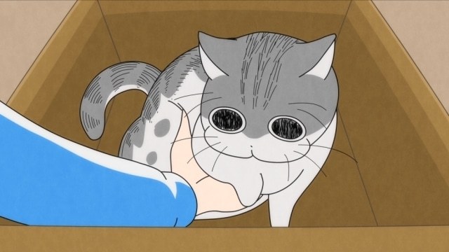 TVアニメ『夜は猫といっしょ』第18夜（第18話）「どいてくれないネコ」あらすじ・先行場面カット公開！の画像-1