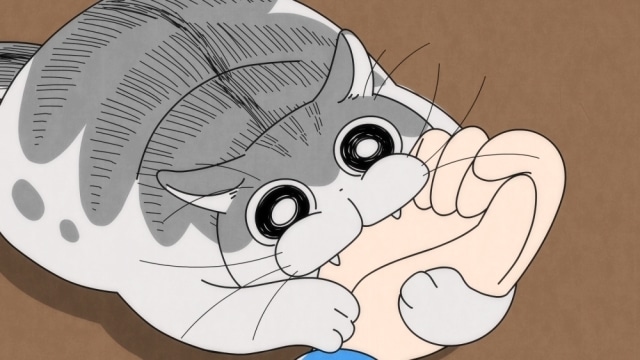 配信アニメ『夜は猫といっしょ』第21夜（第21話）「ネコが噛んできた」あらすじ・先行場面カット公開！