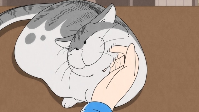 配信アニメ『夜は猫といっしょ』第21夜（第21話）「ネコが噛んできた」あらすじ・先行場面カット公開！