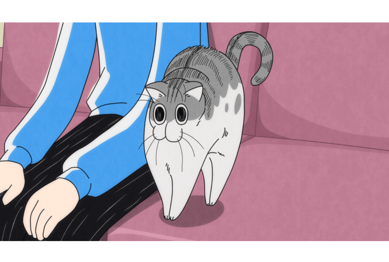 配信アニメ『夜は猫といっしょ』第28夜「となりに座るネコ」先行カット到着！