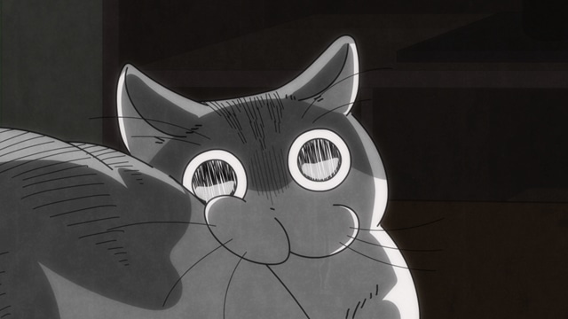 配信アニメ『夜は猫といっしょ』第25夜（第25話）「ネコに振り向いてほしい」あらすじ・先行場面カット到着！　2種のクリスマスビジュアルも公開の画像-1