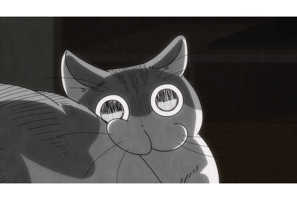 配信アニメ『夜は猫といっしょ』第25話「ネコに振り向いてほしい」先行カット到着！