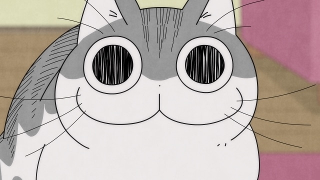 配信アニメ『夜は猫といっしょ』第30夜（第30話）「何かを見つめるネコ」あらすじ・先行場面カット到着！