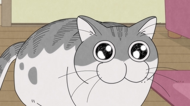 配信アニメ『夜は猫といっしょ』第30夜（第30話）「何かを見つめるネコ」あらすじ・先行場面カット到着！