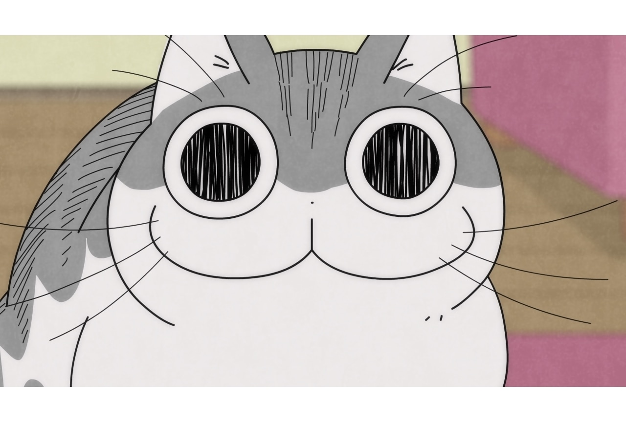 配信アニメ『夜は猫といっしょ』第30話の先行カット到着！