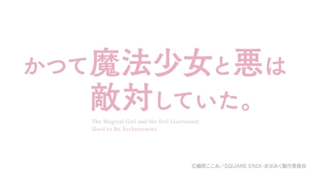 かつて魔法少女と悪は敵対していた。