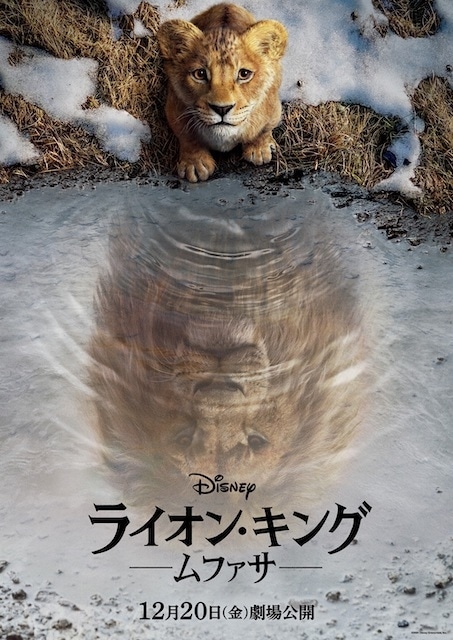 実写映画『ライオン・キング：ムファサ』日米同時劇場公開決定 | アニメイトタイムズ