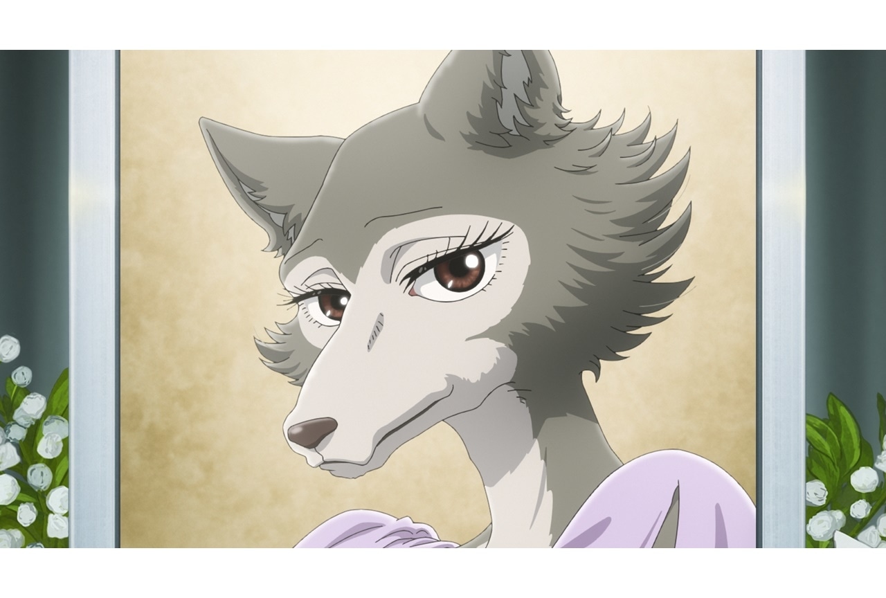 『BEASTARS FINAL SEASON』追加声優に桑島法子、皆口裕子、関智一ら