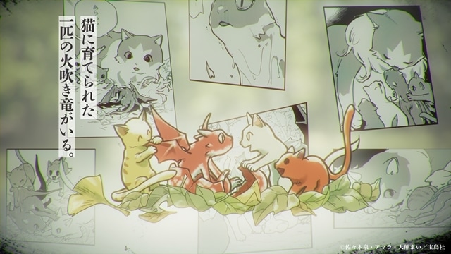 『猫と竜』TVアニメ化決定！　キャラクター原案・大熊まい先生描き下ろし「アニメ化解禁イラスト」、猫竜のボイスが入った特報PVも公開-2