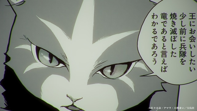 『猫と竜』TVアニメ化決定！　キャラクター原案・大熊まい先生描き下ろし「アニメ化解禁イラスト」、猫竜のボイスが入った特報PVも公開-3