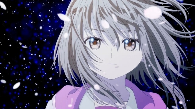 もめんたりー・リリィの画像-1