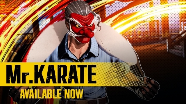 Mr. KARATE
