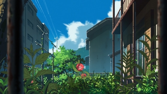 オリジナルアニメ映画『ホウセンカ』2025年秋に公開決定！　キャストに小林薫さん、戸塚純貴さん、満島ひかりさん、宮崎美子さん、ピエール瀧さん-10