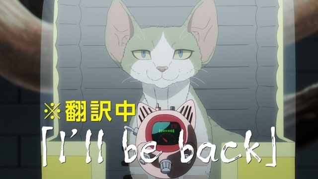 夏アニメ『ニャイト・オブ・ザ・リビングキャット』7月7日放送決定、メインPV公開！　追加声優に宮寺智子さん・興津和幸さんら8名決定、OP＆EDテーマ情報も公開