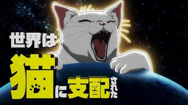 夏アニメ『ニャイト・オブ・ザ・リビングキャット』7月7日放送決定、メインPV公開！　追加声優に宮寺智子さん・興津和幸さんら8名決定、OP＆EDテーマ情報も公開